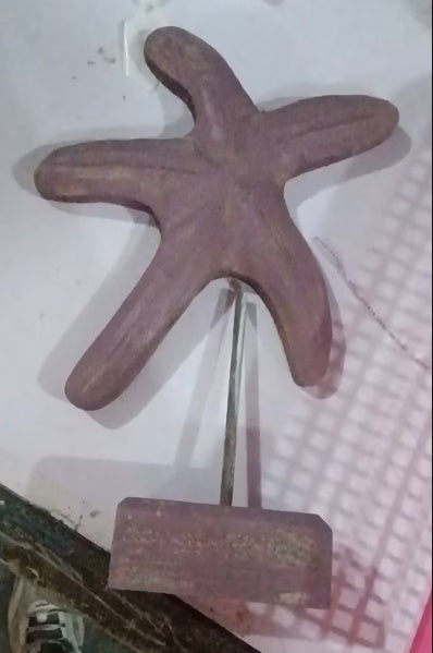 Dekoracja Domowa Rozgwiazda Seahorse Muszla do Salonu