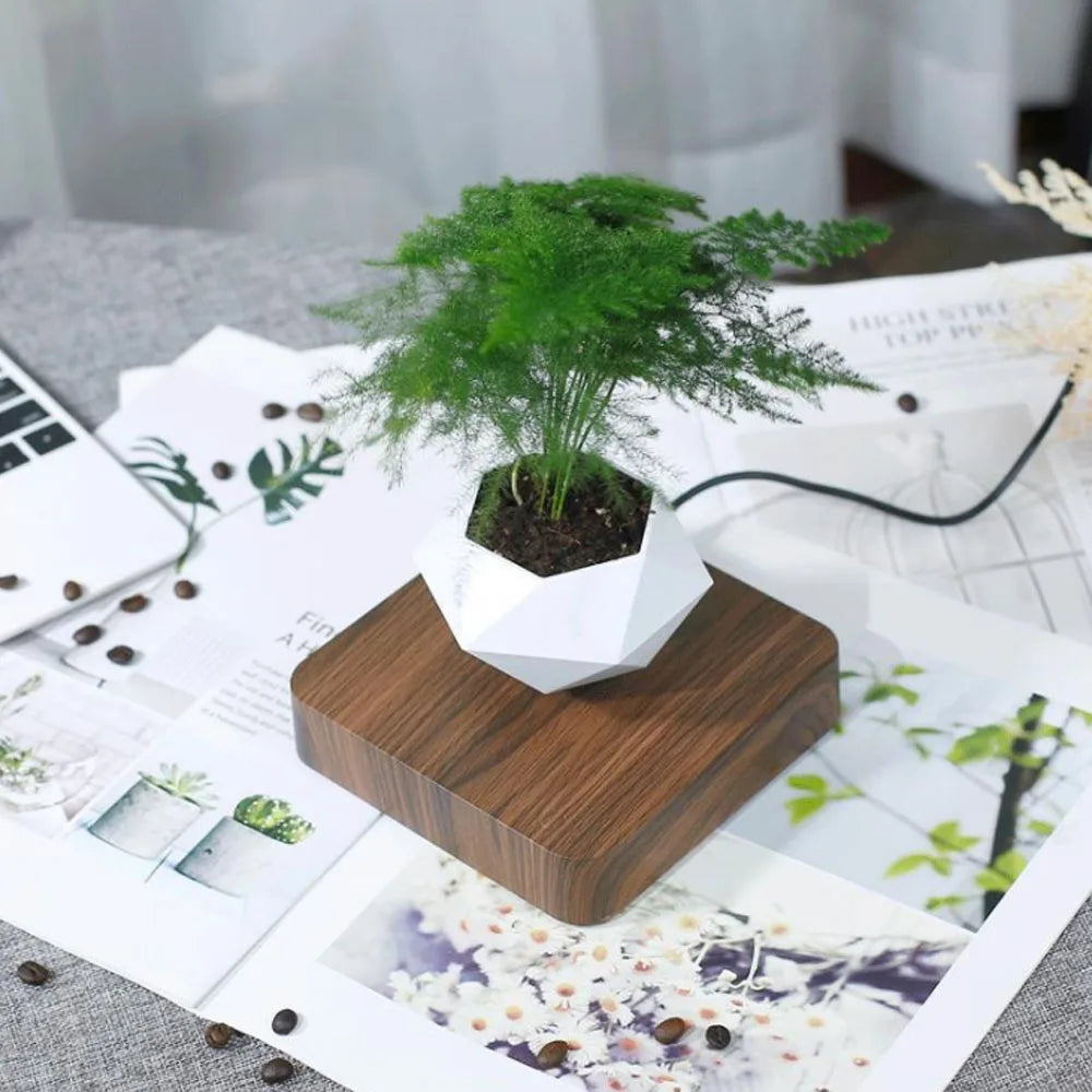 Hanging Bonsai Pot, Magnetic Plant Pendant