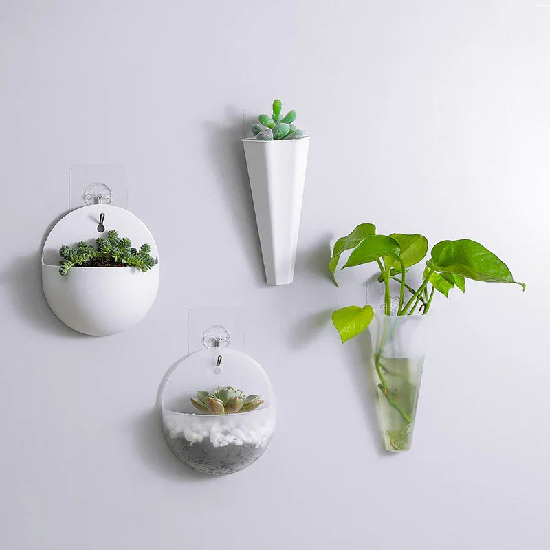 Modern wall decoration, hanging plant vase