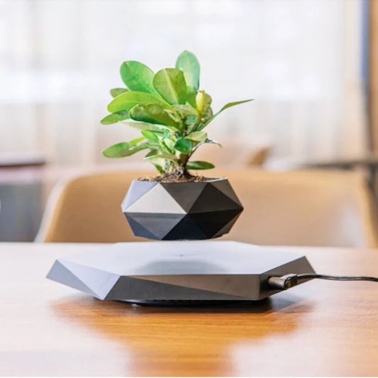 Hanging Bonsai Pot, Magnetic Plant Pendant