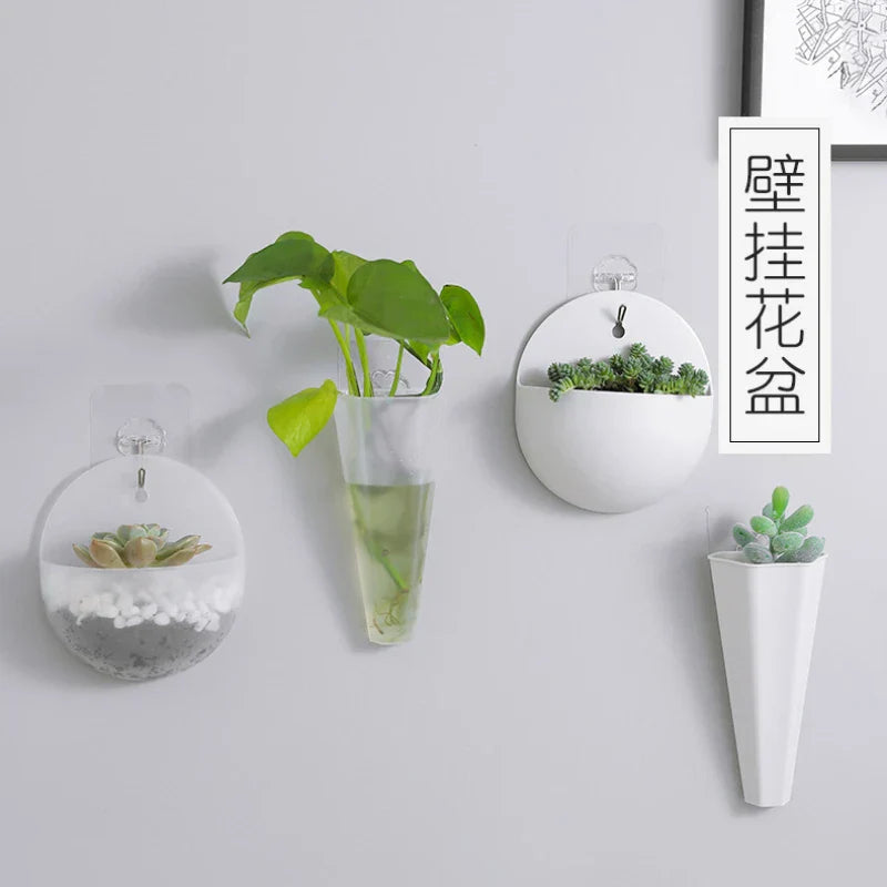 Modern wall decoration, hanging plant vase