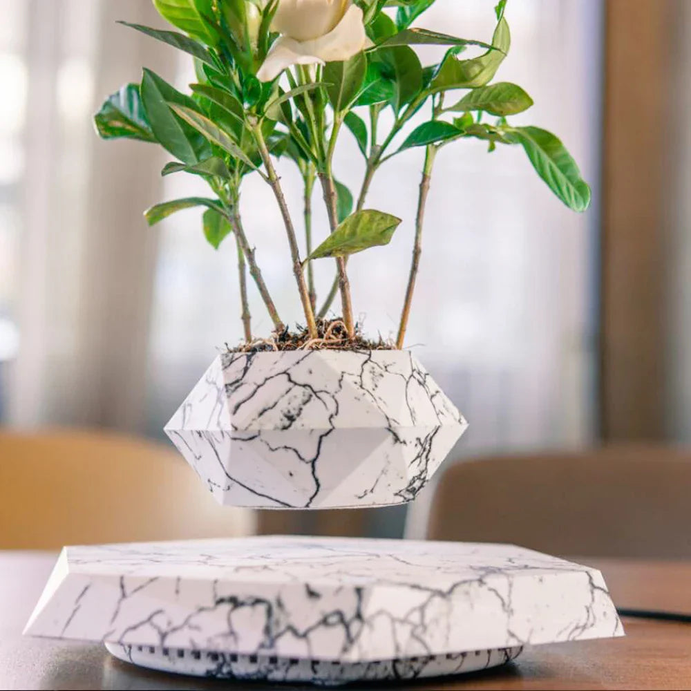 Hanging Bonsai Pot, Magnetic Plant Pendant